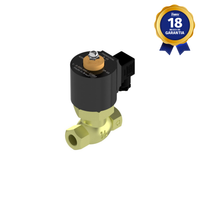 Válvula Solenoide 1/2" BSP 24 Vcc 2 Vias NF Servo Operada para Vapor Thermoval