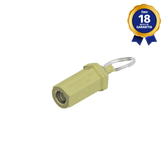Válvula de Segurança 1/4" NPT 40 PSI Linha Odonto Compatível com Allia e Dabi
