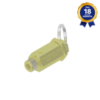 Válvula de Segurança 1/4" BSP 48 psi em Latão para Autoclaves Thermoval