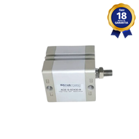 Cilindro Compacto Strokmatic Êmbolo Magnético 40 x 65 mm Rosca Macho