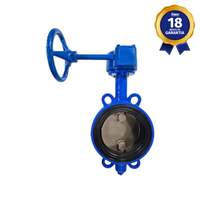 Válvula Borboleta Wafer 6" THTECH Classe 150 Ferro Nodular Disco Inox Vedação EPDM com Caixa Redutora